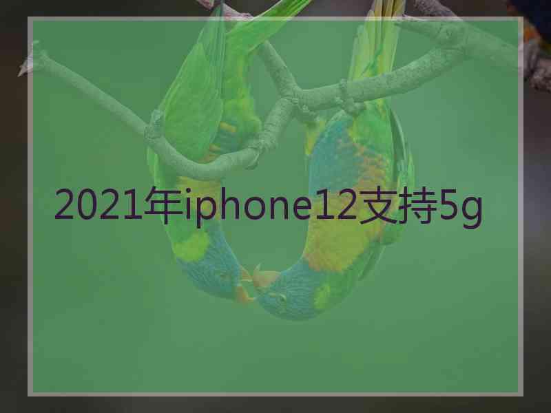 2021年iphone12支持5g