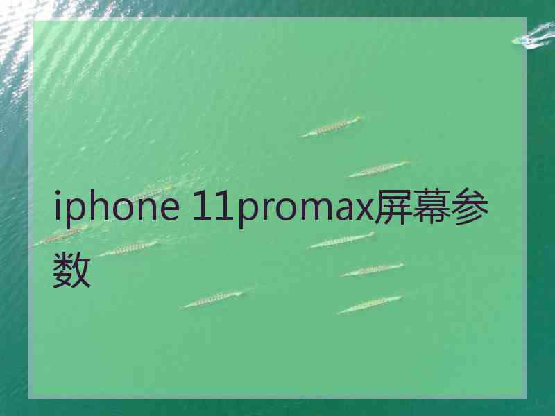 iphone 11promax屏幕参数