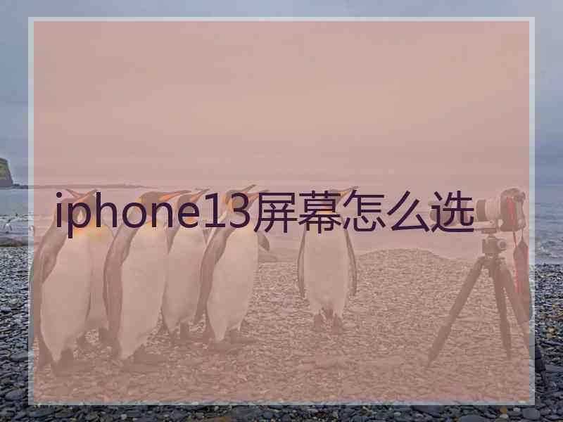 iphone13屏幕怎么选