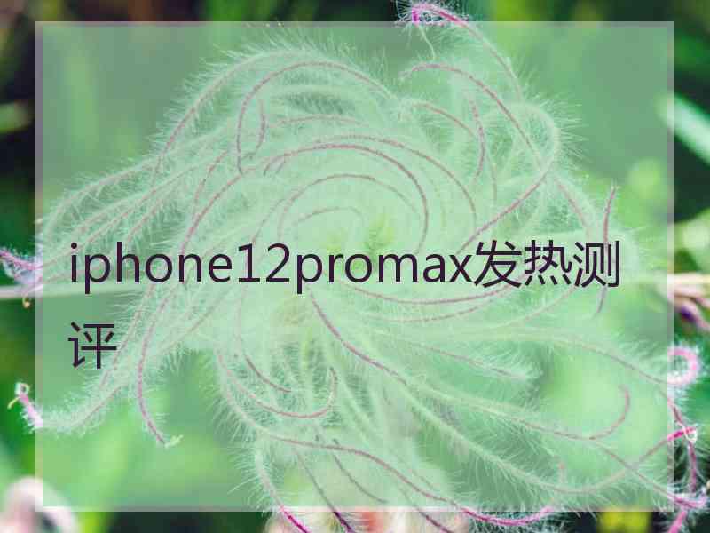 iphone12promax发热测评