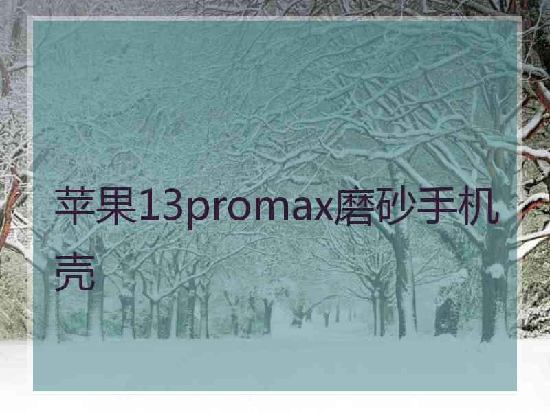 苹果13promax磨砂手机壳