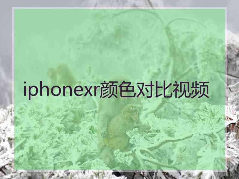 iphonexr颜色对比视频