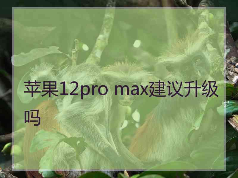 苹果12pro max建议升级吗