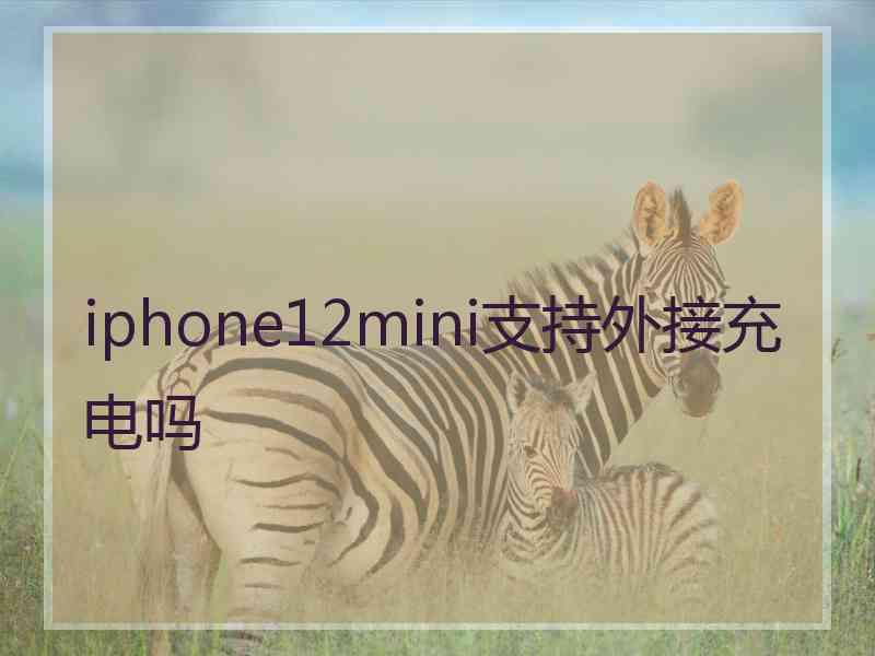 iphone12mini支持外接充电吗