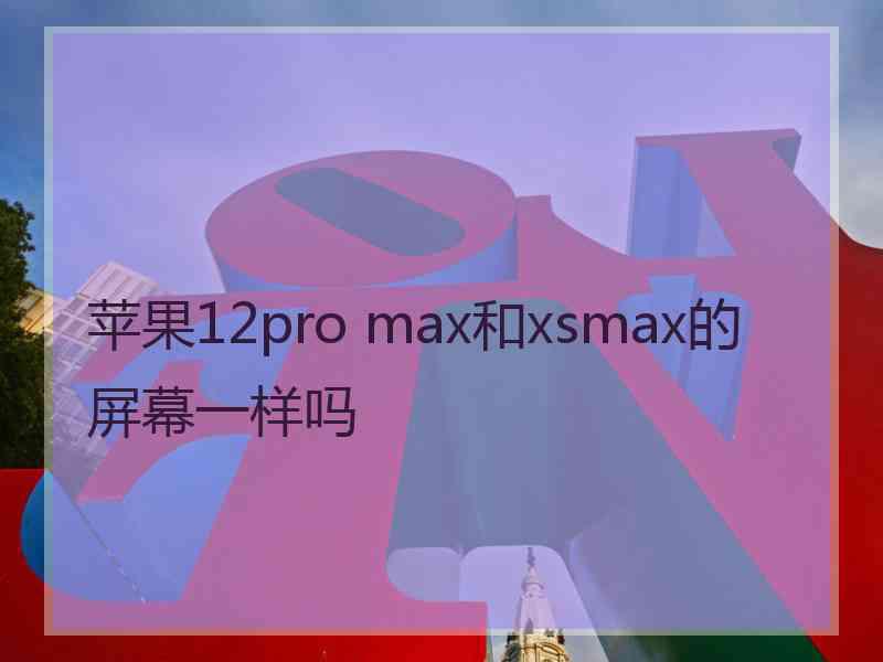 苹果12pro max和xsmax的屏幕一样吗