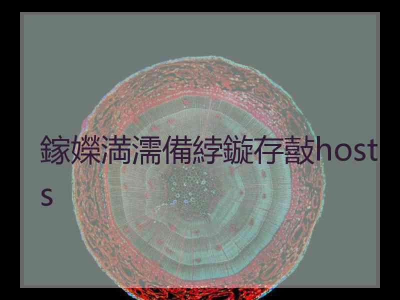 鎵嬫満濡備綍鏇存敼hosts