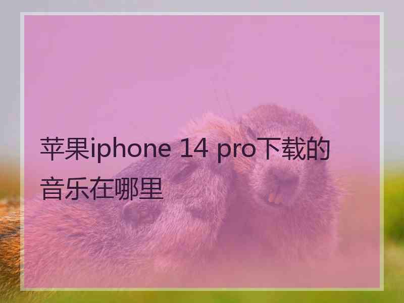 苹果iphone 14 pro下载的音乐在哪里