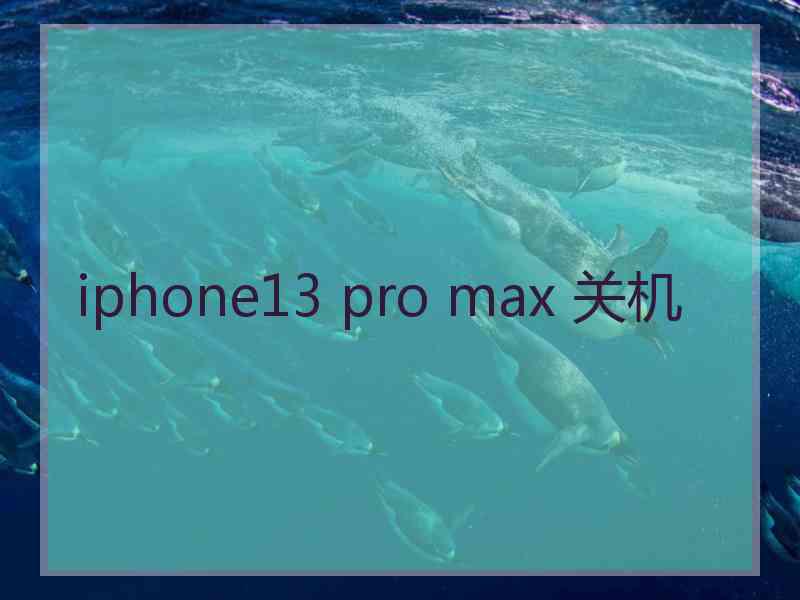 iphone13 pro max 关机