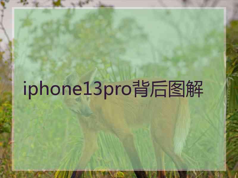 iphone13pro背后图解