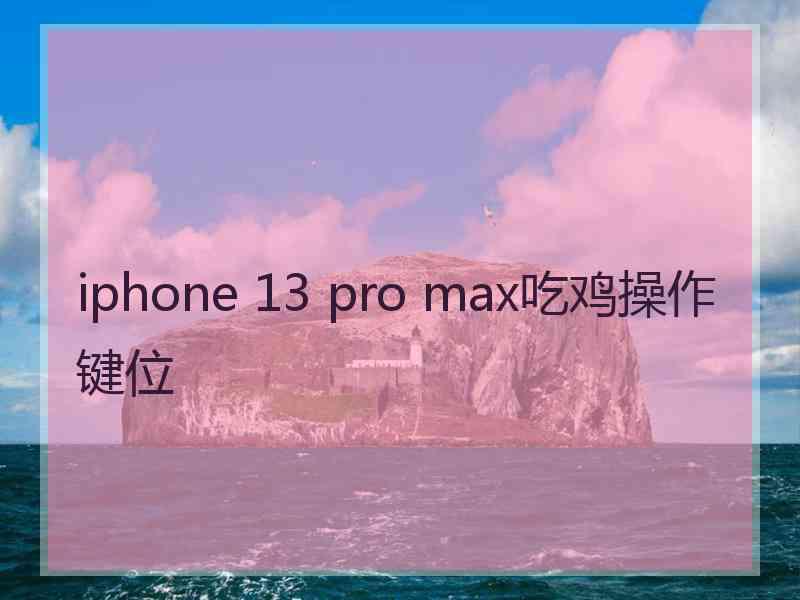 iphone 13 pro max吃鸡操作键位