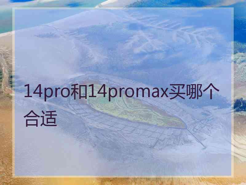 14pro和14promax买哪个合适