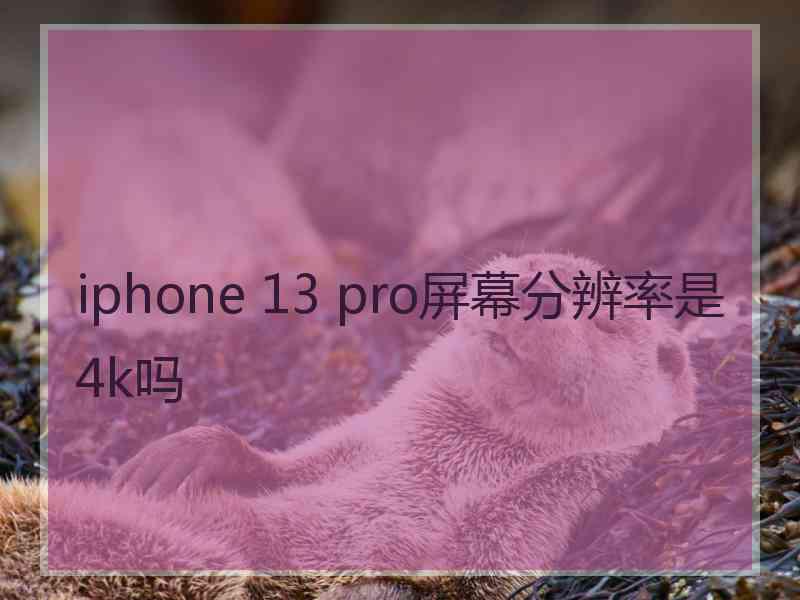 iphone 13 pro屏幕分辨率是4k吗