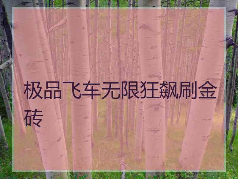 极品飞车无限狂飙刷金砖