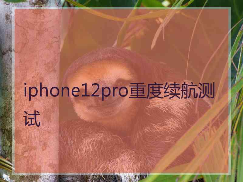 iphone12pro重度续航测试