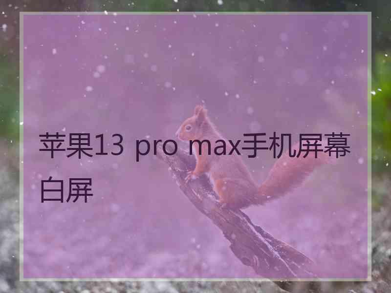 苹果13 pro max手机屏幕白屏