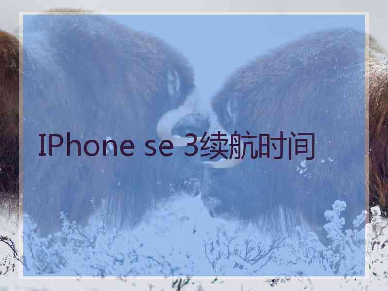 IPhone se 3续航时间