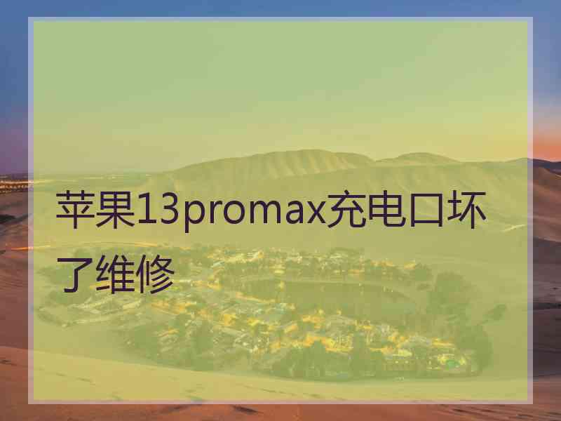 苹果13promax充电口坏了维修