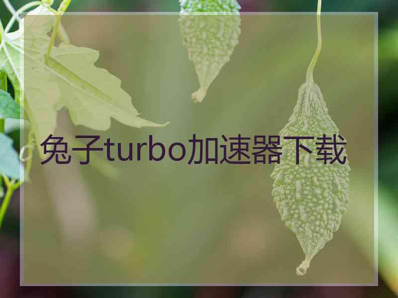 兔子turbo加速器下载