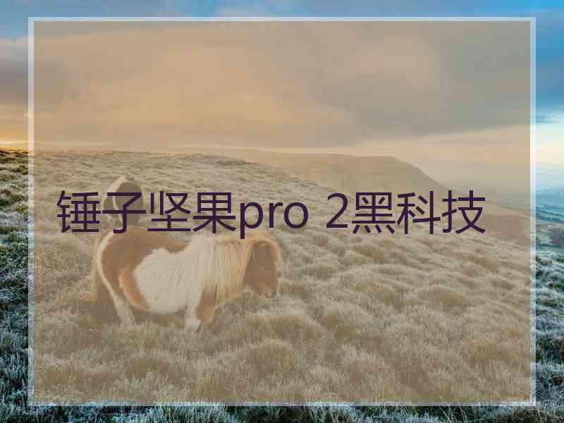 锤子坚果pro 2黑科技