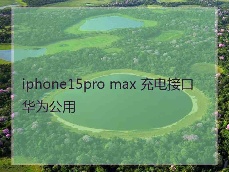 iphone15pro max 充电接口 华为公用