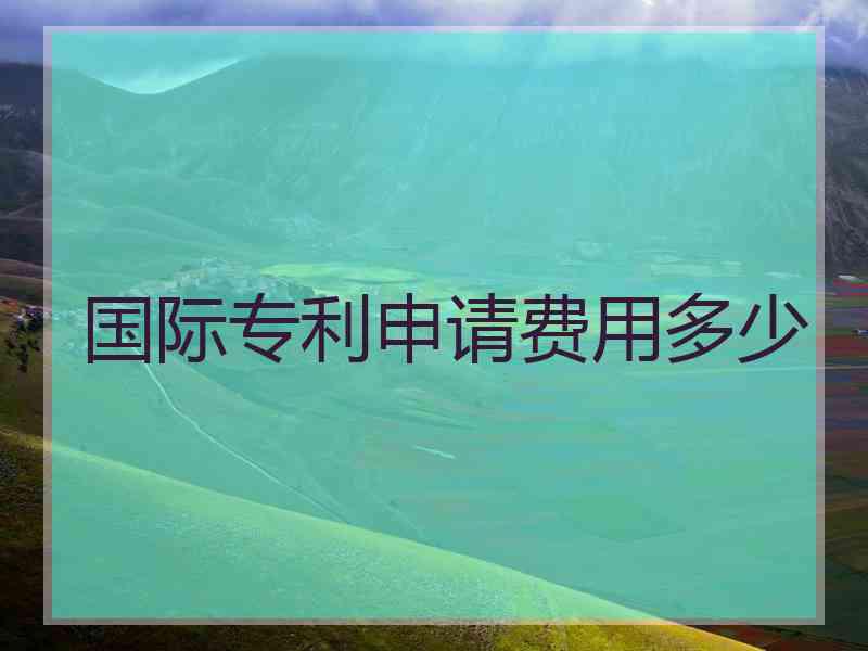 国际专利申请费用多少