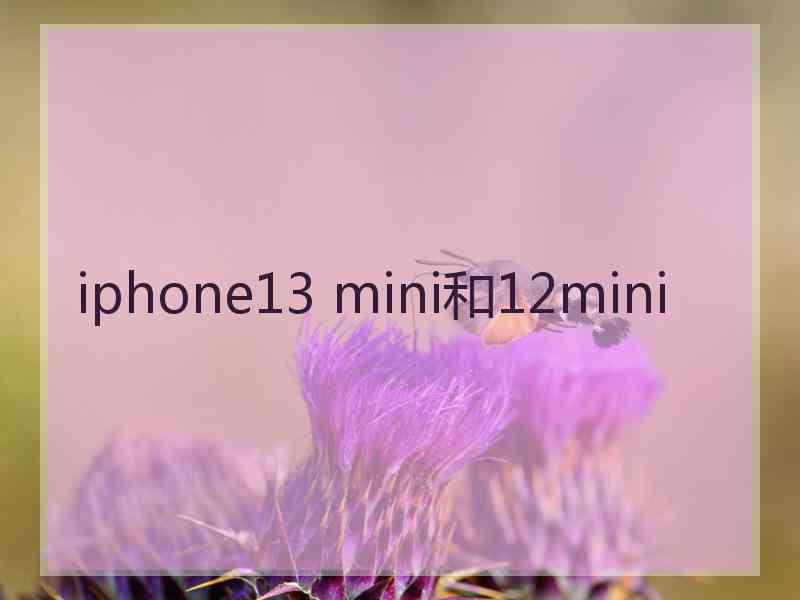 iphone13 mini和12mini