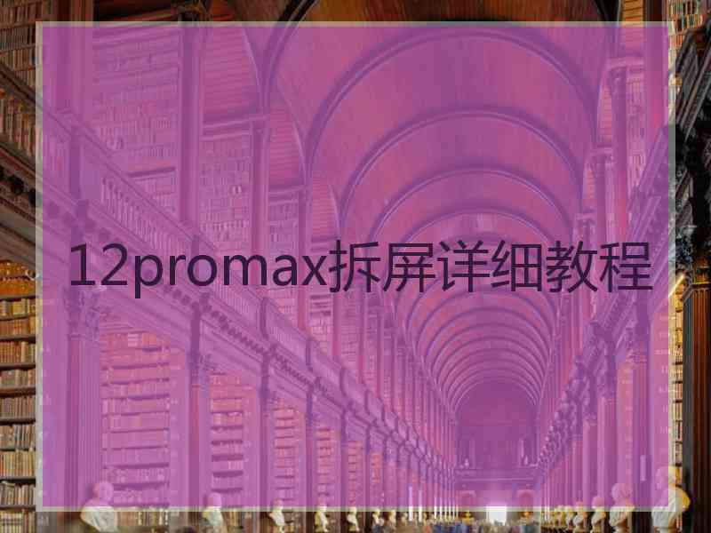 12promax拆屏详细教程