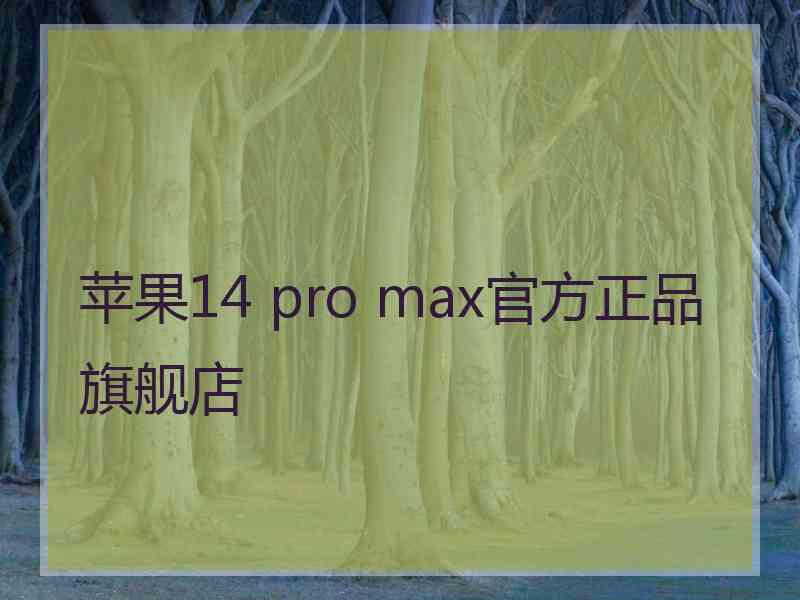 苹果14 pro max官方正品旗舰店