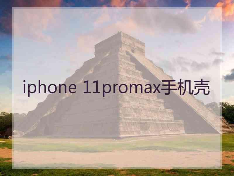 iphone 11promax手机壳