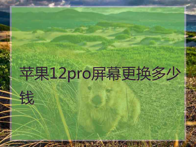 苹果12pro屏幕更换多少钱