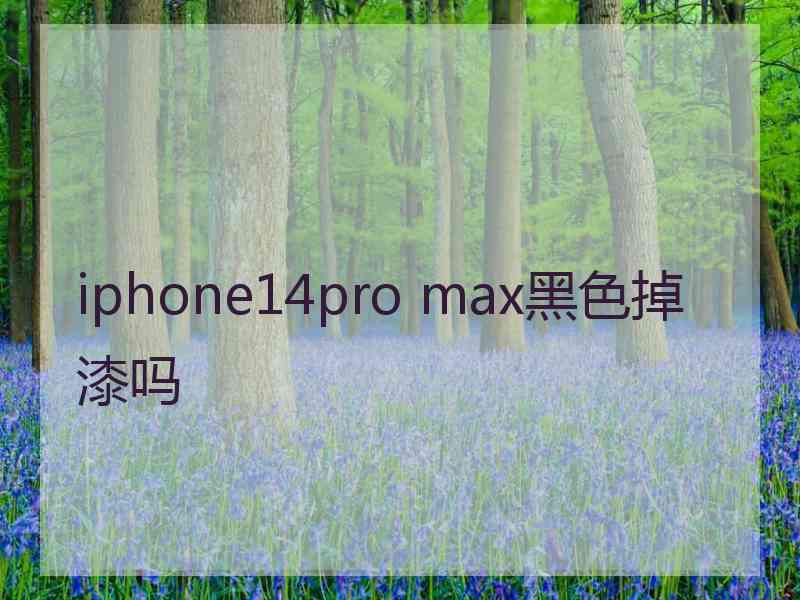 iphone14pro max黑色掉漆吗