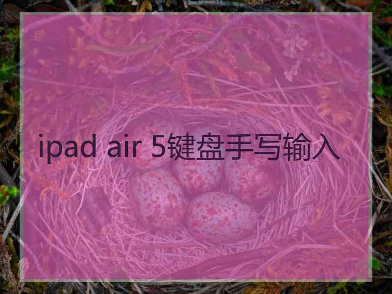 ipad air 5键盘手写输入