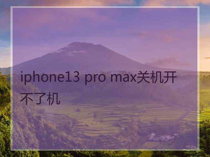 iphone13 pro max关机开不了机