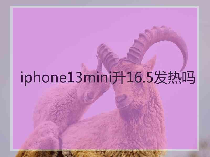 iphone13mini升16.5发热吗