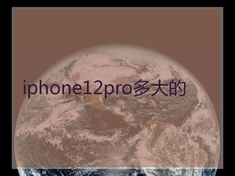 iphone12pro多大的