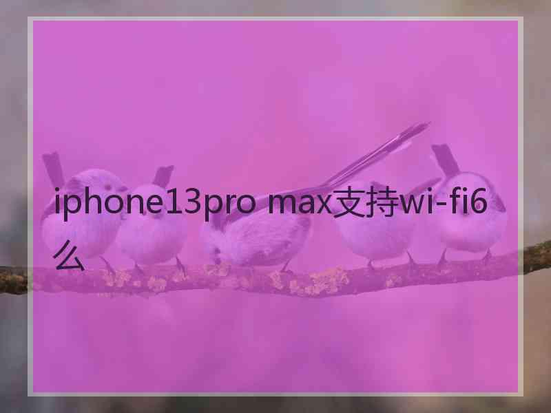 iphone13pro max支持wi-fi6么