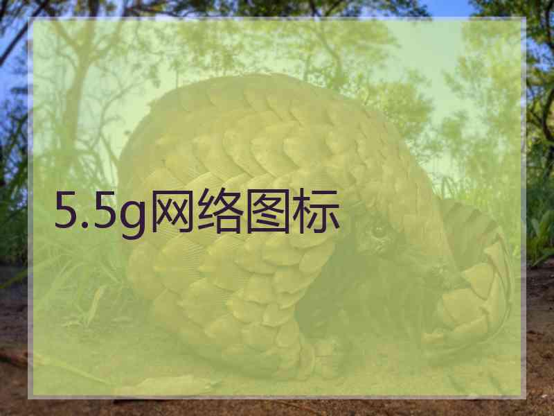 5.5g网络图标