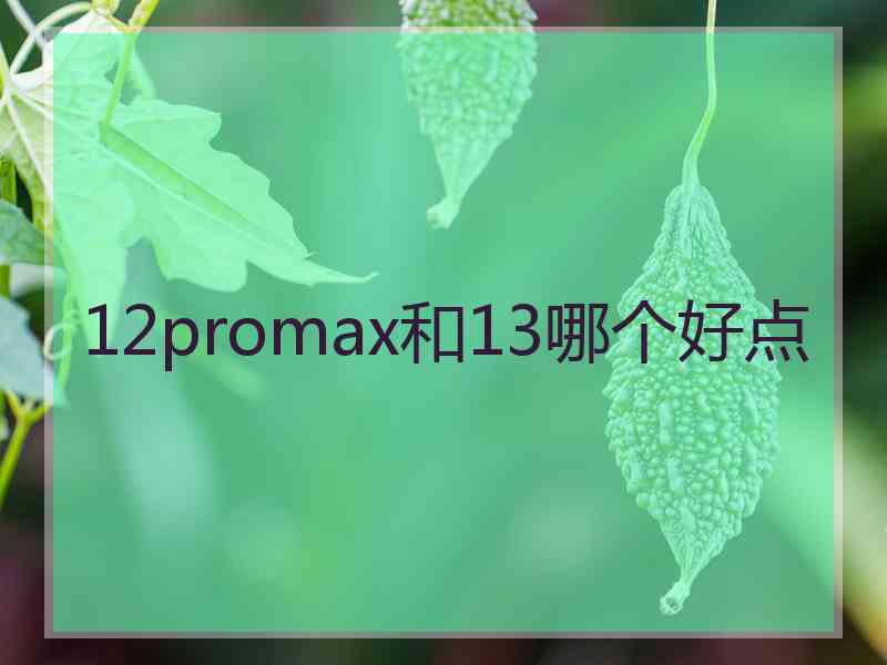 12promax和13哪个好点