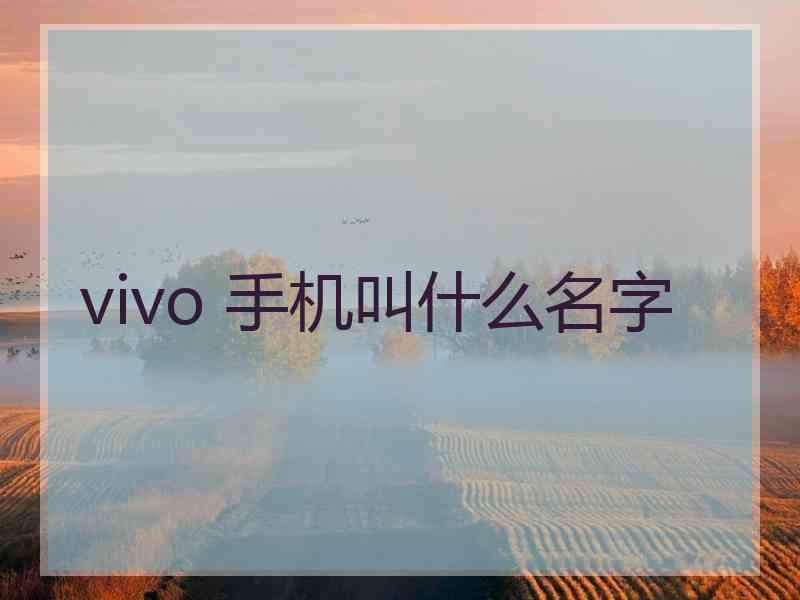 vivo 手机叫什么名字