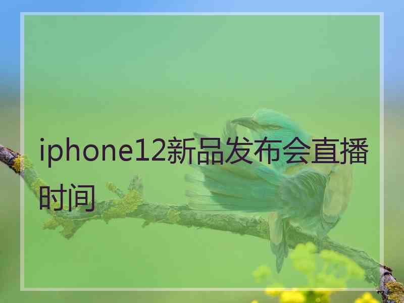 iphone12新品发布会直播时间