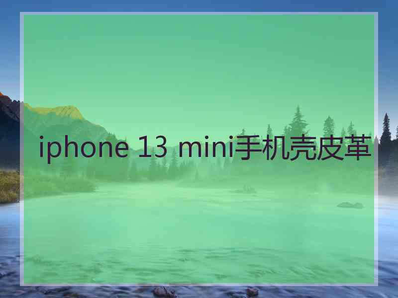 iphone 13 mini手机壳皮革