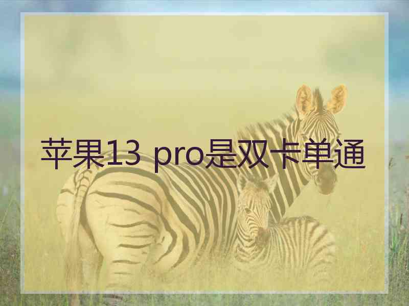 苹果13 pro是双卡单通