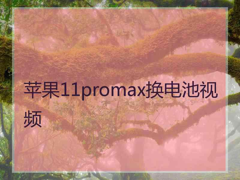 苹果11promax换电池视频