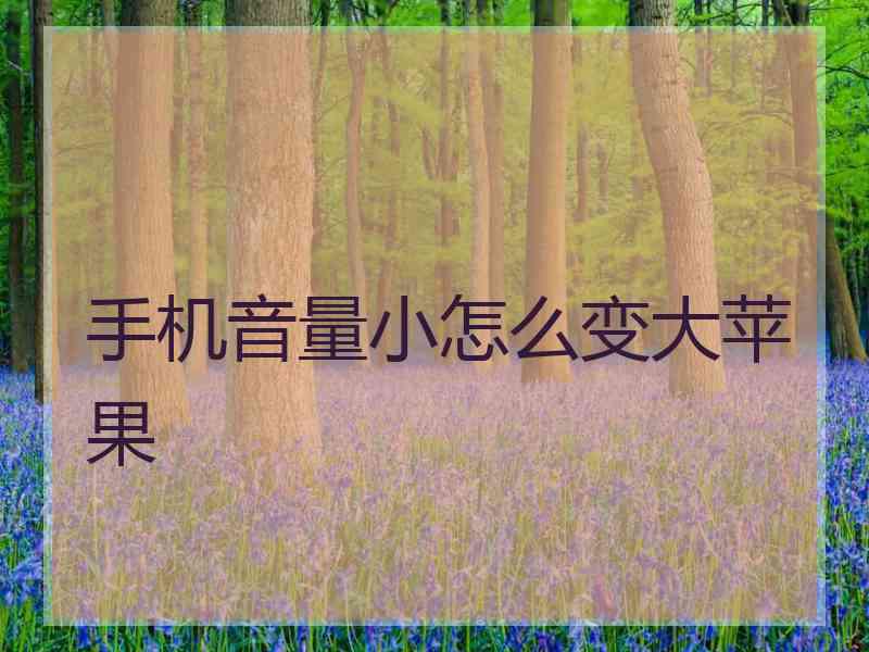 手机音量小怎么变大苹果