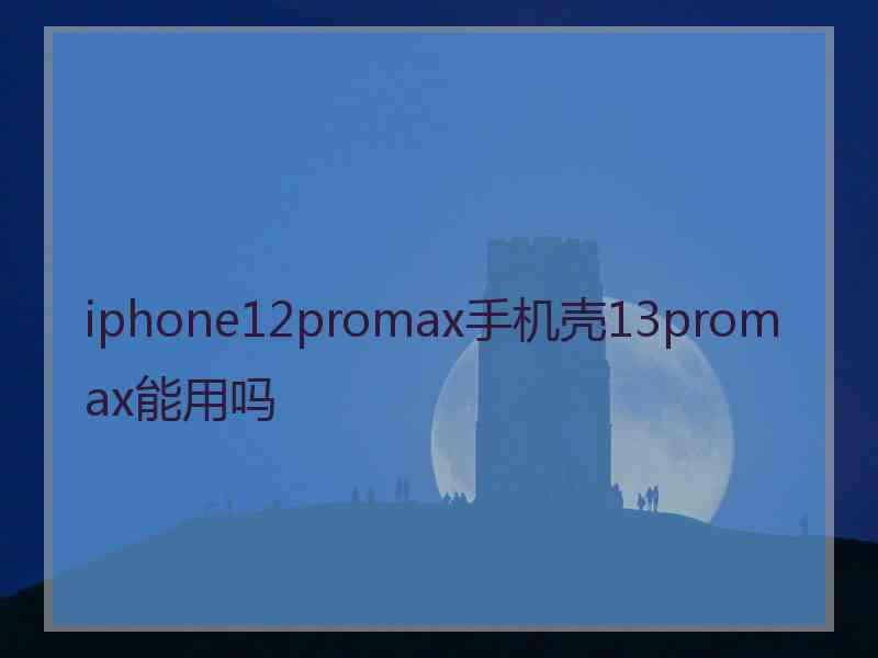 iphone12promax手机壳13promax能用吗