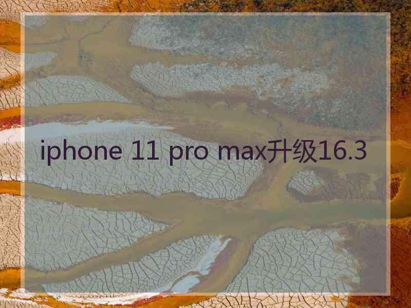 iphone 11 pro max升级16.3