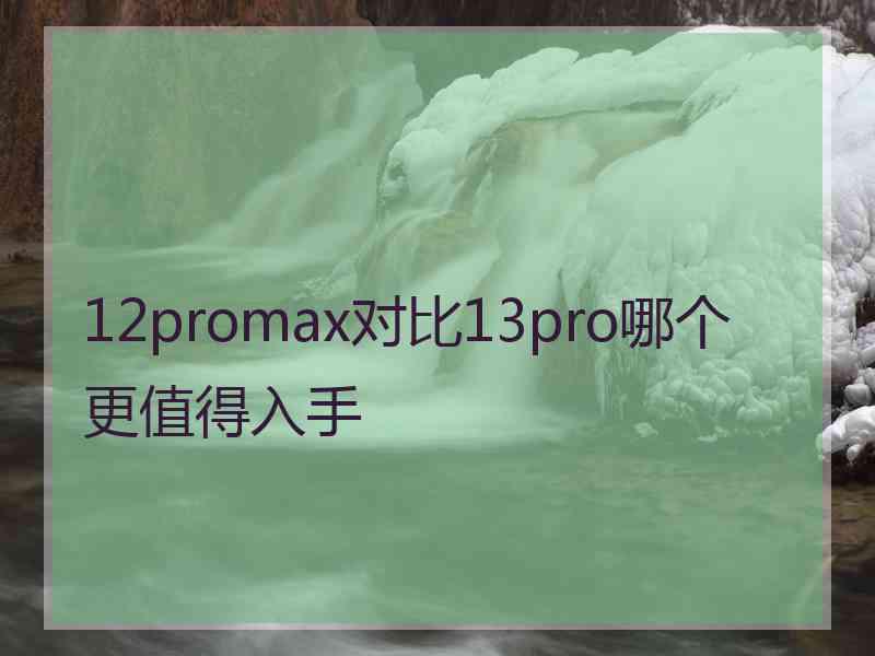 12promax对比13pro哪个更值得入手