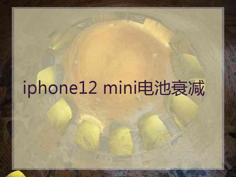 iphone12 mini电池衰减