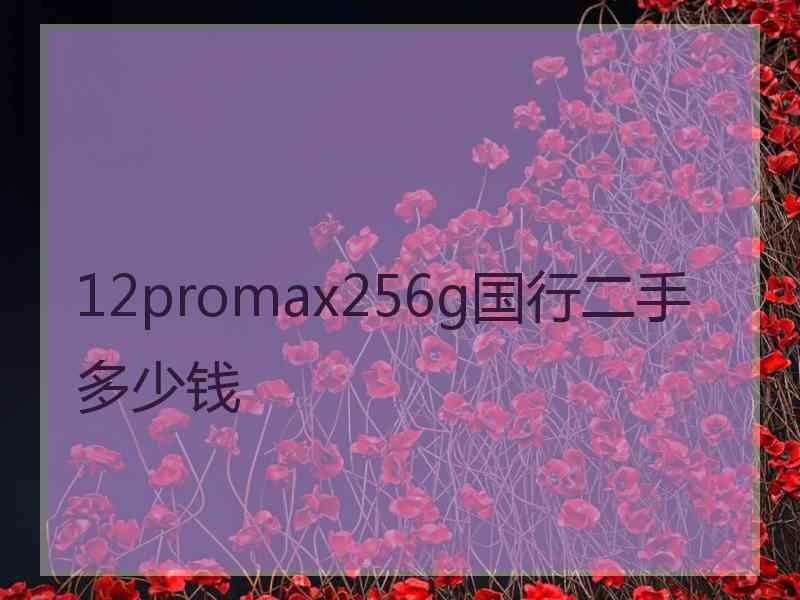 12promax256g国行二手多少钱