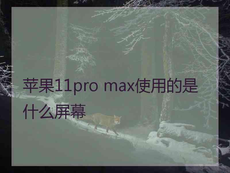 苹果11pro max使用的是什么屏幕